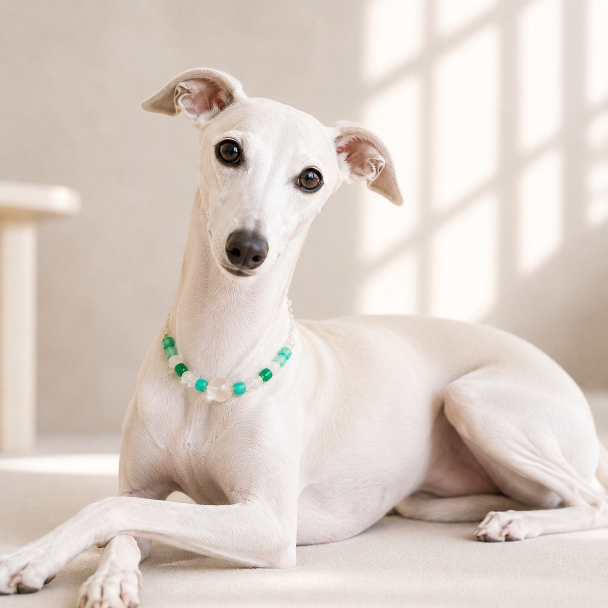 Natural Crystal Pet Collar — Handcrafted Healing Amulet for Dog & Cat Anxiety | TerraGem