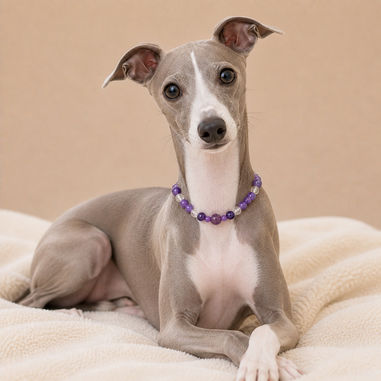 Natural Crystal Pet Collar — Handcrafted Healing Amulet for Dog & Cat Anxiety | TerraGem